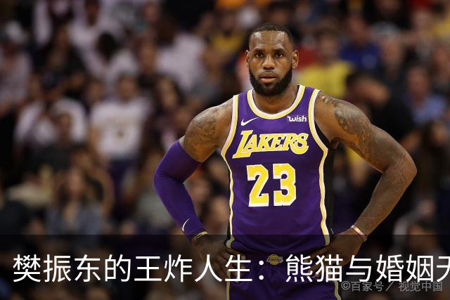 樊振东的王炸人生：熊猫与婚姻无关的传奇